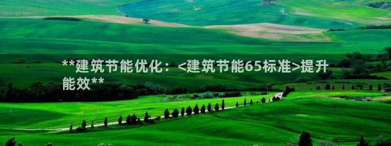 e尊国际是干什么的：**建筑节能优化：<建筑节能65标准>提升
能效**